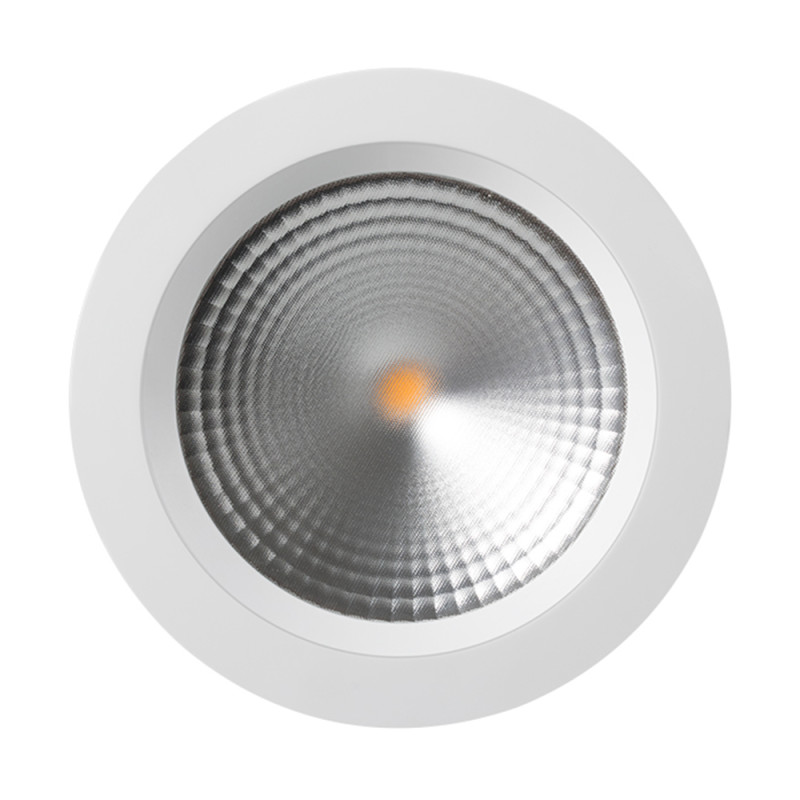 Светильник Downlight Arlight 021069