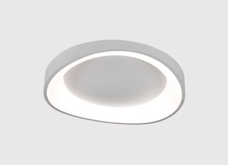 Накладной светильник ARTE Lamp A2698PL-60WH