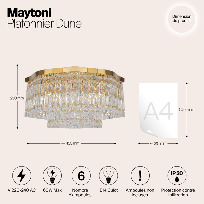 Накладная люстра Maytoni DIA005CL-06G