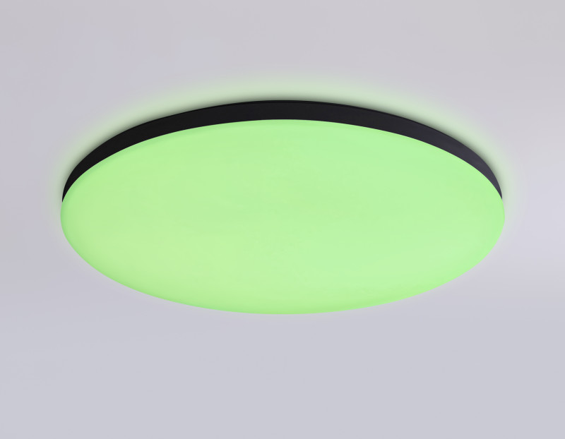 Накладной светильник Ambrella Light FZ2004