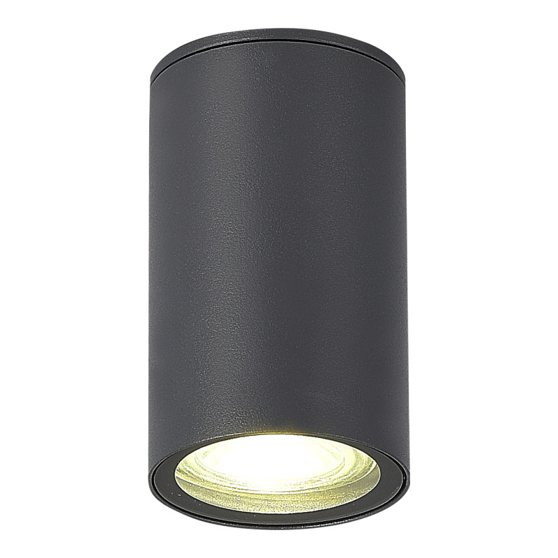 Накладной уличный светильник ST-Luce SL9010.712.01