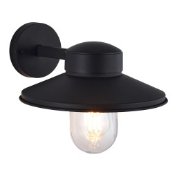 Светильник настенный ST-Luce SL9542.701.01