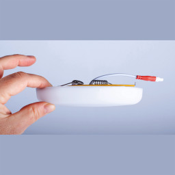 Встраиваемый светильник Mantra 8681