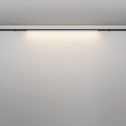 Светильник на шине Maytoni Technical C100CL-L1000-24W3-6K-B