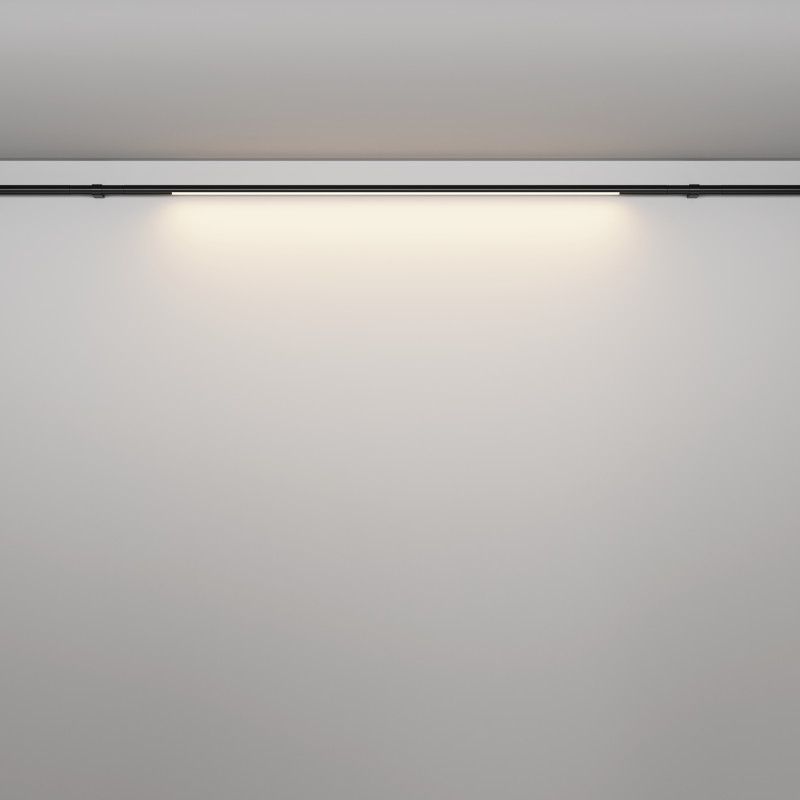 Светильник на шине Maytoni Technical C100CL-L1000-24W3-6K-B