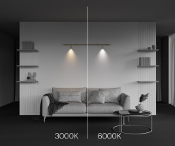 Светильник на шине Maytoni Technical C102CL-3W3-6K-BS