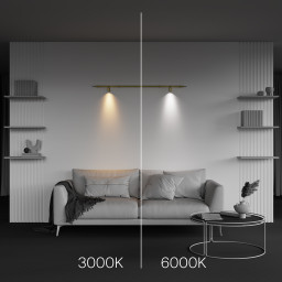 Светильник на шине Maytoni Technical C103CL-5W3-6K-BS
