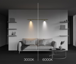Светильник на шине Maytoni Technical C103CL-5W3-6K-BS