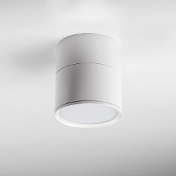 Спот Lightstar 215886