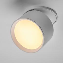 Спот Lightstar 215806