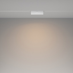 Светильник на шине Maytoni Technical TR036-4-12WTW-DD2-W