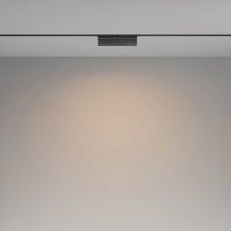 Светильник на шине Maytoni Technical TR036-4-12WTW-DSZ-B