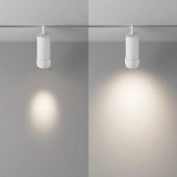 Светильник на шине Maytoni Technical TR212-4-12WTW-DD2-Z-W