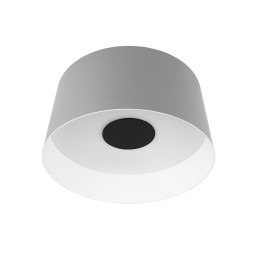 Накладной светильник LOFT IT 10360M Grey