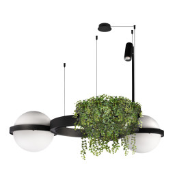Подвесной светильник LOFT IT 10121/2
