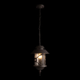 Подвесной уличный светильник LOFT IT 100021P