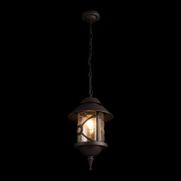 Подвесной уличный светильник LOFT IT 100021P