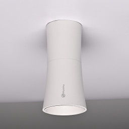 Накладной светильник ImperiumLoft 314096-26