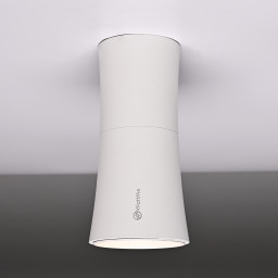 Накладной светильник ImperiumLoft 314096-26