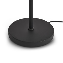 Торшер Freya FR5553FL-L20B