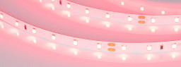 Лента Arlight 055374