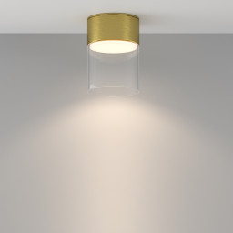 Влагозащищенный светильник Maytoni C094CL-GX53-BS