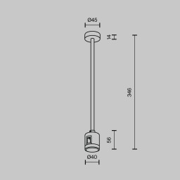 Стойка Maytoni TRA158C-IPC1-PT