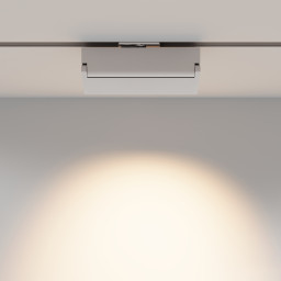 Светильник на шине Maytoni Technical TR223-1-12WCCT-W-W