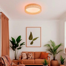 Накладной светильник F-Promo 4749-4C