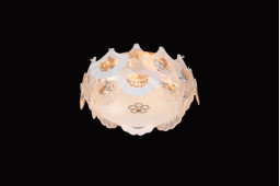 Накладная люстра Fluorite FL1152-5C