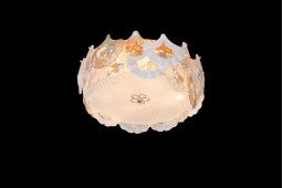 Накладная люстра Fluorite FL1152-9C