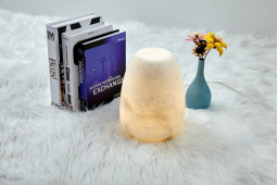 Настольная лампа Fluorite FL1036-3T