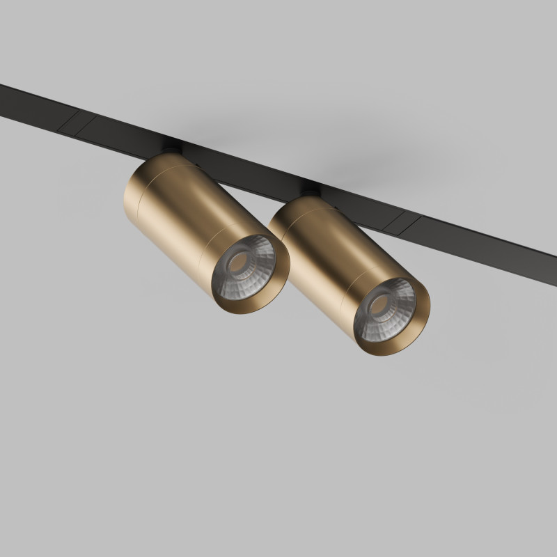 Светильник на шине Denkirs DK8012-BG