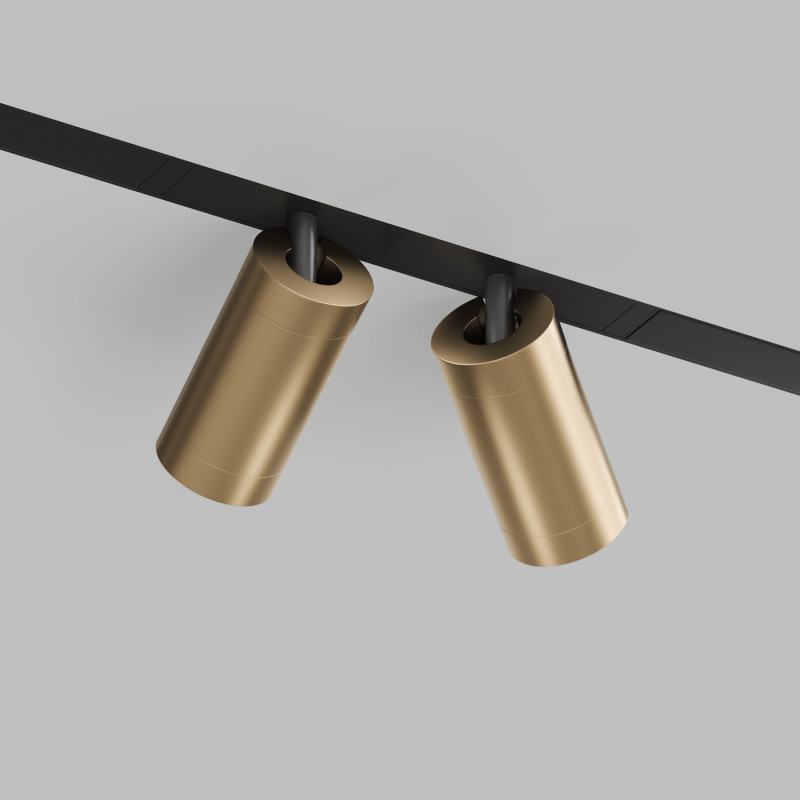 Светильник на шине Denkirs DK8012-BG