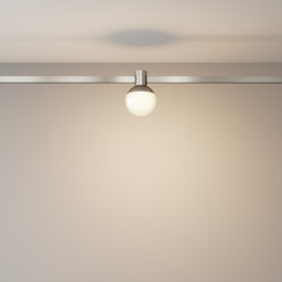 Светильник на шине Maytoni Technical TR149-1-5W3K-PT