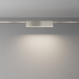 Светильник на шине Maytoni Technical TR151-1-12W4K-PT