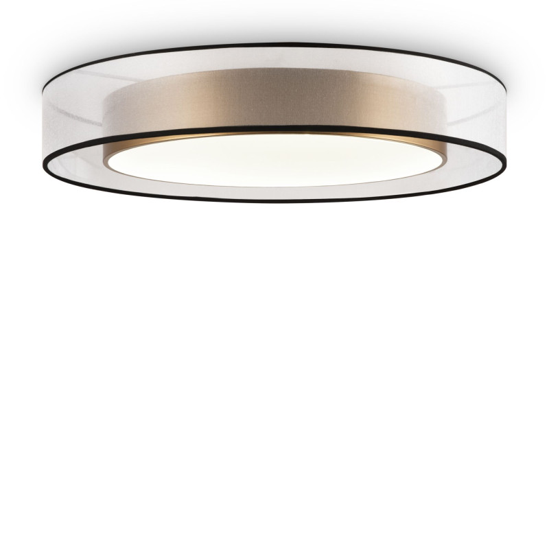 Накладной светильник Freya FR6005CL-L48G 24730₽