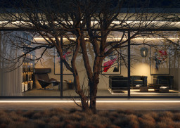 Product Gallery Image