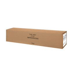 Торшер Freya FR2022FL-01CH