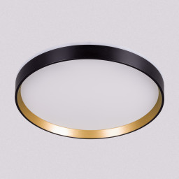 Накладной светильник Citilux CL750321R