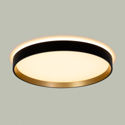 Накладной светильник Citilux CL750321R