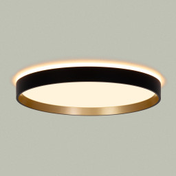 Накладной светильник Citilux CL750321R