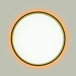 Накладной светильник Citilux CL750321R