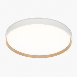 Накладной светильник Citilux CL750400R