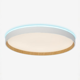 Накладной светильник Citilux CL750400R