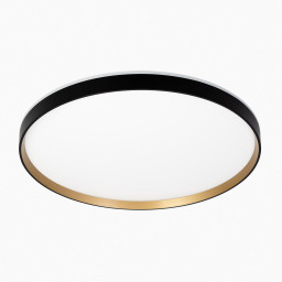 Накладной светильник Citilux CL750501R