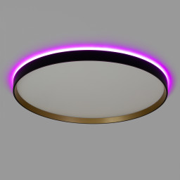 Накладной светильник Citilux CL750501R