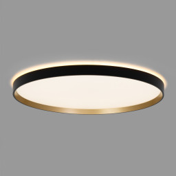 Накладной светильник Citilux CL750501R