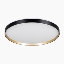 Накладной светильник Citilux CL750501R