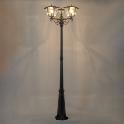 Садово-парковый светильник Citilux CLU10P3